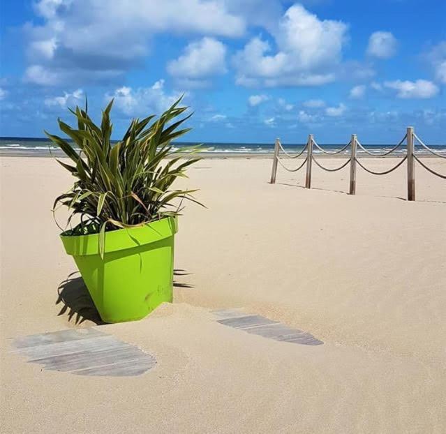 Lesparisnormands - Magnifique Vue Mer - Centre Et Plage Вилле-сюр-Мер Экстерьер фото